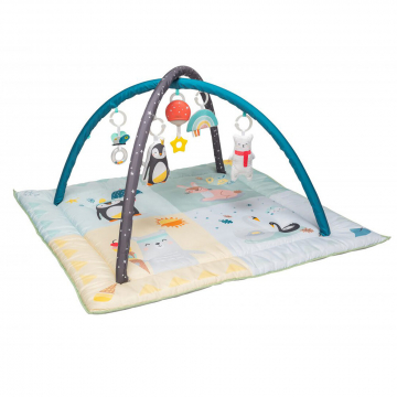 Taf Toys Speelmat & Speelboog 4 Season Gym North Pole