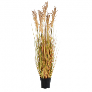 House Collection Kunstplant Sorghum