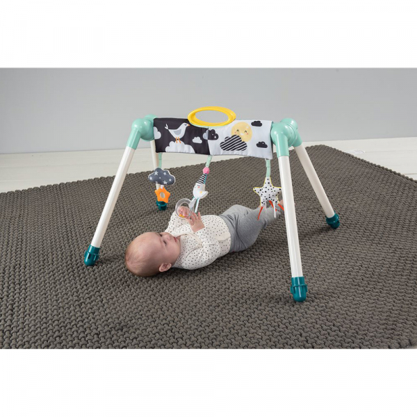 Baby Gym Arche De Jeux Mini Moon Take To Play Taf Toys