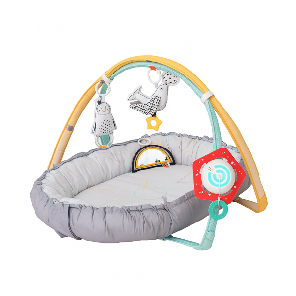 Tapis De Jeu Et Nid Bebe Cosy Gym Taf Toys Tapis De Jeu Et Nid Bebe Cosy Gym Taf Toys