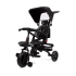 Baninni Tricycle avec Barre de Poussée Reina Noir