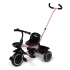 Baninni Tricycle avec Barre de Poussée Cara Rose