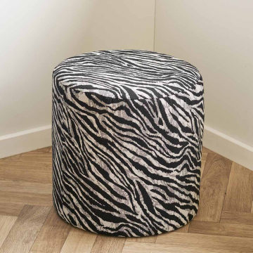ZSFU001587-ZEBRA_01.jpg
