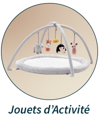 Jouets d'Activité
