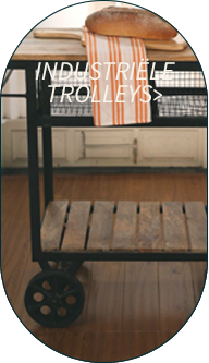 Industrieel trolleys