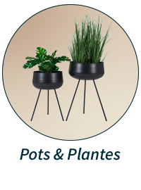 Pots et plantes