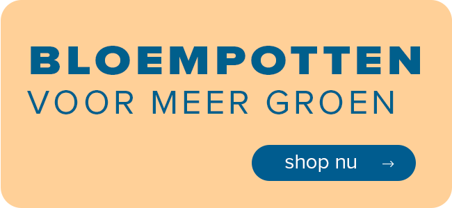 Bloempotten