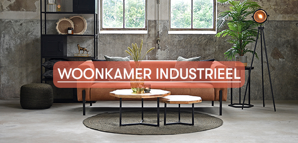 Industrieel Woonkamer