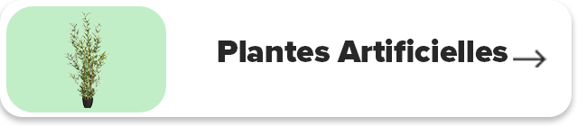 Plantes Artificielles