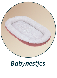 Babynestjes