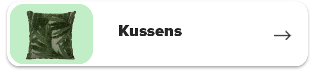 Sierkussens & Vloerkussens