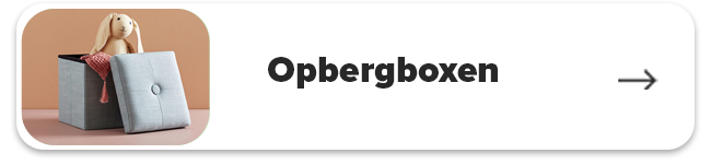 Opbergboxen