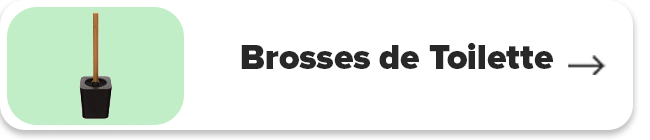 Brosses de Toilette