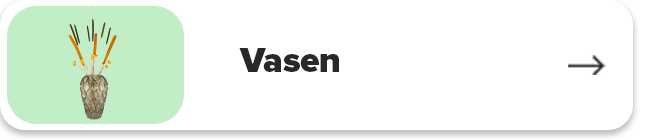 Vasen