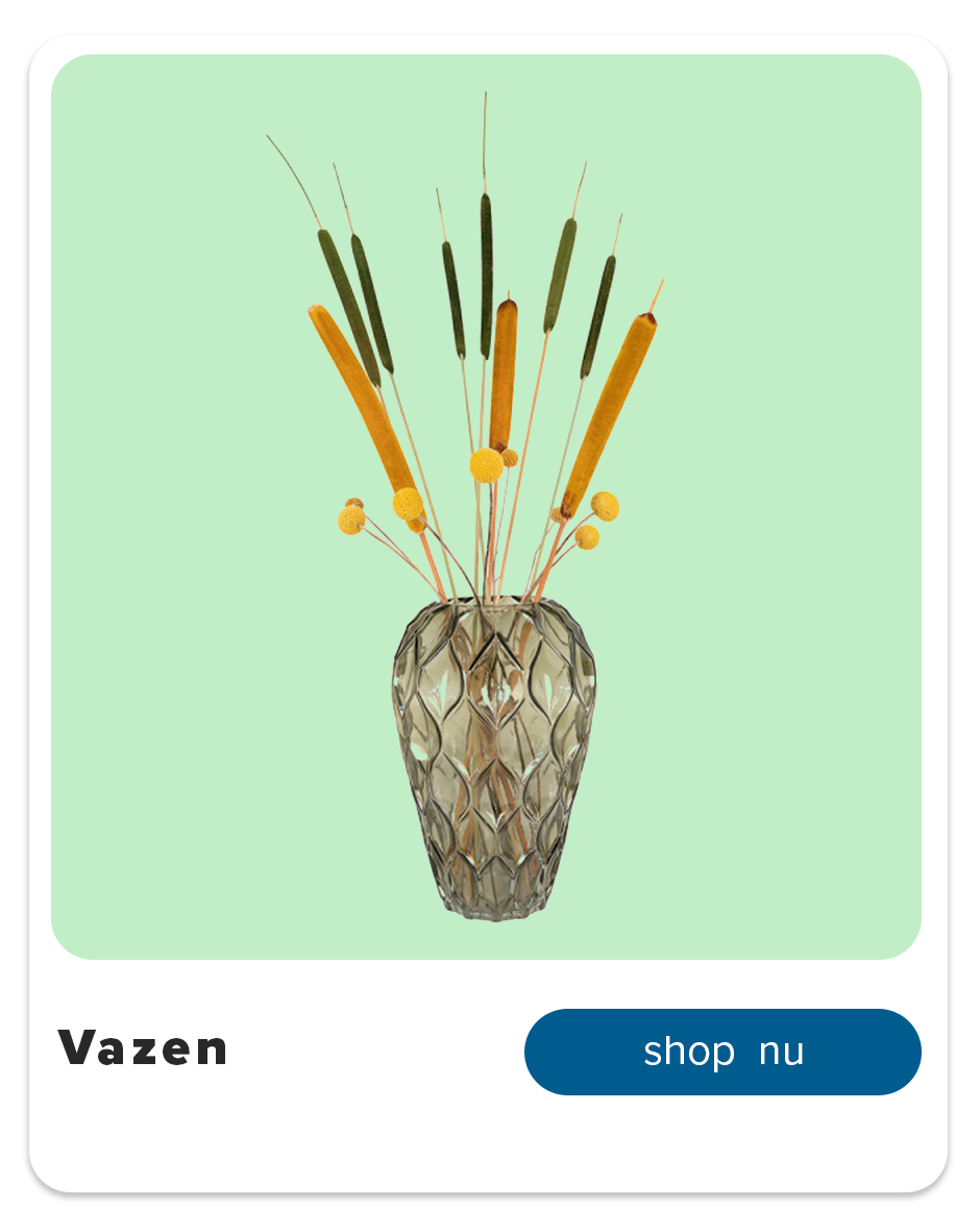 Vazen voor Valentijn