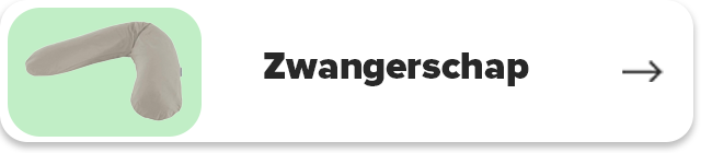 Zwangerschap