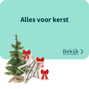 Alles voor kerst