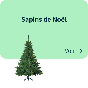 Sapins de Noël